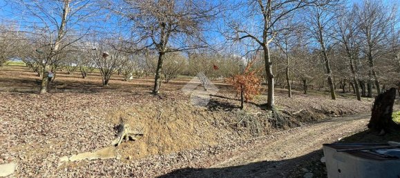 3 Schlafzimmer Haus in Dogliani, Italy, Nr. 60548 31