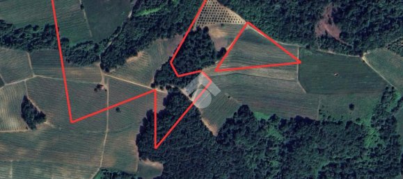 3 Schlafzimmer Haus in Dogliani, Italy, Nr. 60548 45