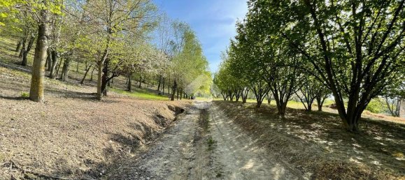 3 Schlafzimmer Haus in Dogliani, Italy, Nr. 60548 42