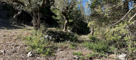 Land for sale in Zakynthos, Ionian Islands, Peloponnese, Western Greece and the Ionian, Greece № 450 15