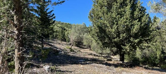 Land for sale in Zakynthos, Ionian Islands, Peloponnese, Western Greece and the Ionian, Greece № 450 16