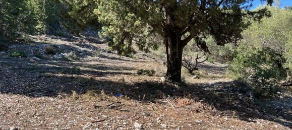 Land for sale in Zakynthos, Ionian Islands, Peloponnese, Western Greece and the Ionian, Greece № 450 11