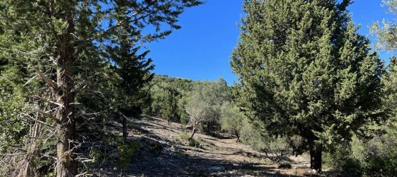 Land for sale in Zakynthos, Ionian Islands, Peloponnese, Western Greece and the Ionian, Greece № 450 18