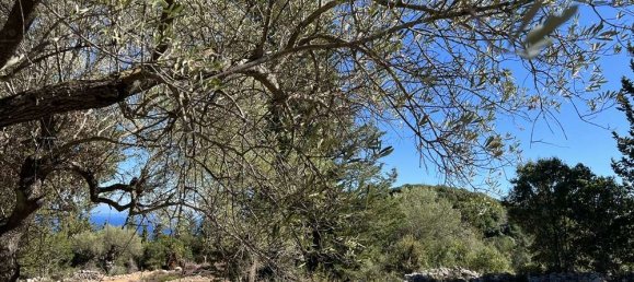 Land for sale in Zakynthos, Ionian Islands, Peloponnese, Western Greece and the Ionian, Greece № 450 12