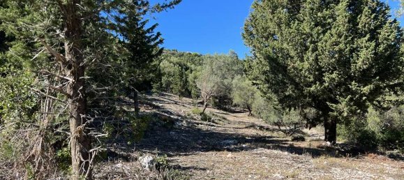 Land for sale in Zakynthos, Ionian Islands, Peloponnese, Western Greece and the Ionian, Greece № 450 17