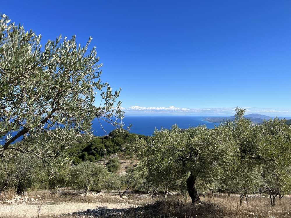 Land for sale in Zakynthos, Ionian Islands, Peloponnese, Western Greece and the Ionian, Greece № 450