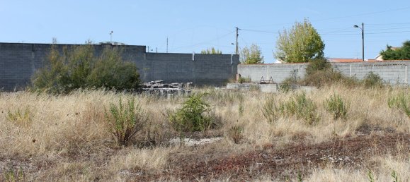 Lagerhaus in Abrantes, Portugal 5426m², Nr. 77186 5