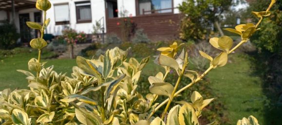 3 bedrooms House in Schleswig-Holstein, Germany No. 40420 2