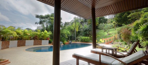 7 bedrooms Cafe / restaurant in Phuket, Thailand No. 7211 17