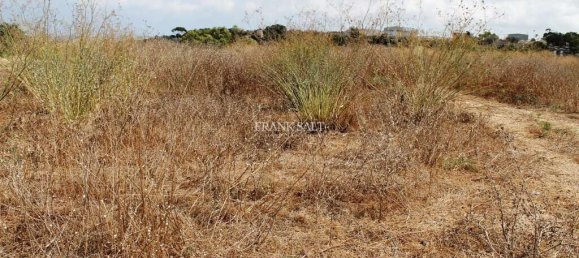 Terrain à Siggiewi, Malta 1m² No. 2115 5