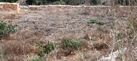 Terrain à Siggiewi, Malta 1m² No. 2115 3