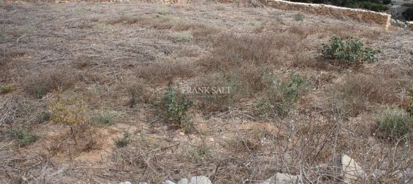 Terrain à Siggiewi, Malta 1m² No. 2115 2