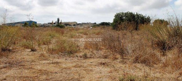 Terrain à Siggiewi, Malta 1m² No. 2115 4