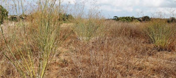 Terrain à Siggiewi, Malta 1m² No. 2115 6