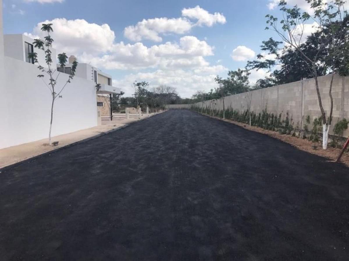 4 chambres Maison à Yucatan, Mexico No. 163142