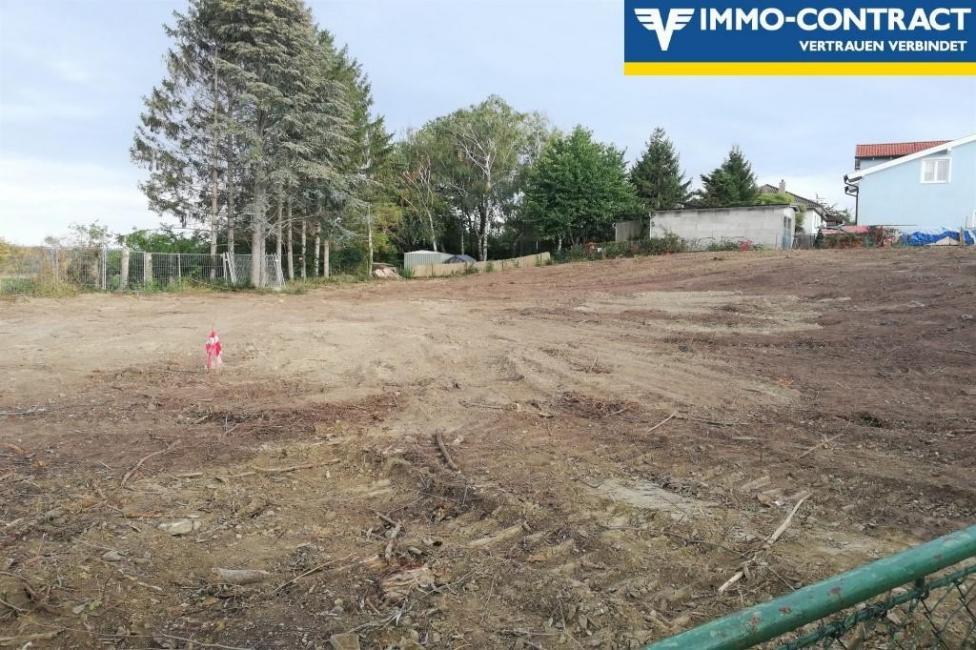  Land in Steinbrunn, Austria No. 42456