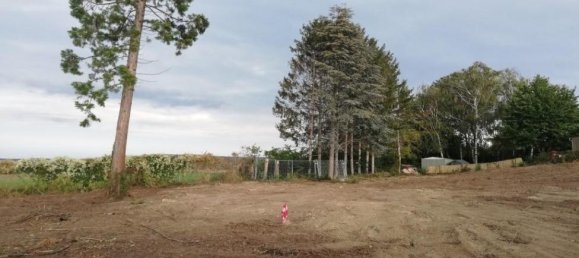  Land in Steinbrunn, Austria No. 42456 3