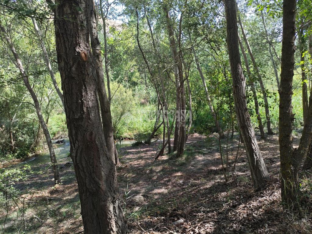 12600m² Land in Granada, Spain No. 236087