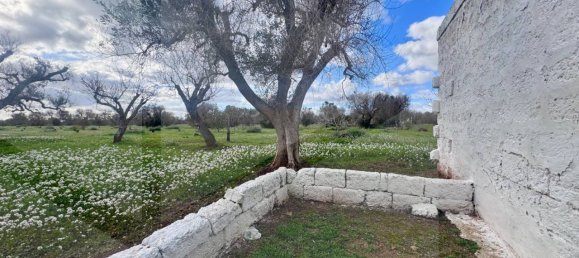 Studio in Ostuni, Italy, Nr. 18265 7