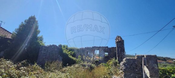 1 Schlafzimmer Haus in Vouzela, Portugal, Nr. 187602 3