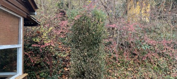 Земельный участок в Бургенланд, Германия № 222823 15