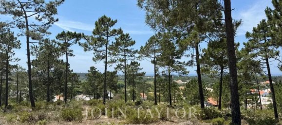 3909m² Land in Alcacer do Sal, Portugal No. 132441 5