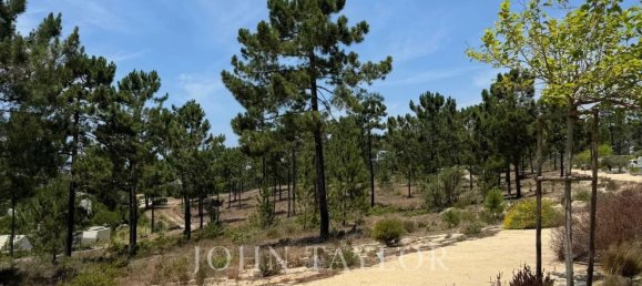 3909m² Land in Alcacer do Sal, Portugal No. 132441 12