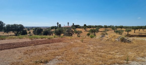 Castelos T5 em Serpa, Portugal N.º 137182 35