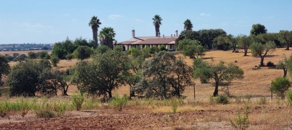 Castelos T5 em Serpa, Portugal N.º 137182 36