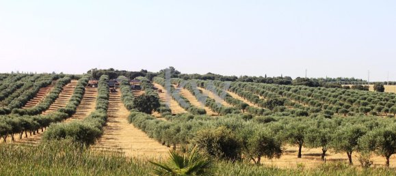 Castelos T5 em Serpa, Portugal N.º 137182 28