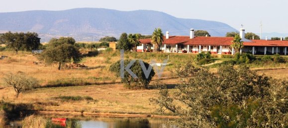 Castelos T5 em Serpa, Portugal N.º 137182 3