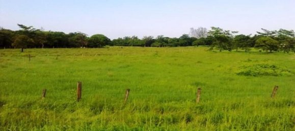 Studio in Tijuana, Mexico, Nr. 150667 2