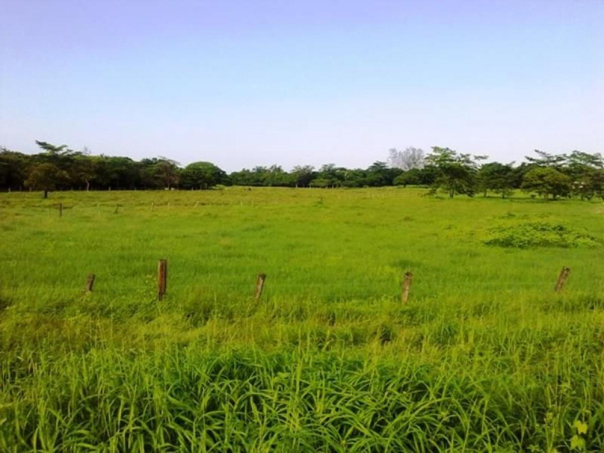 Studio in Tijuana, Mexico, Nr. 150667