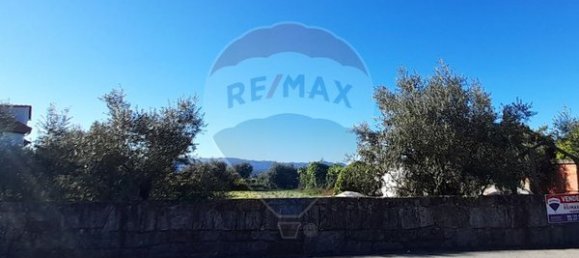 3570m² Land in Silgueiros, Portugal No. 59724 7