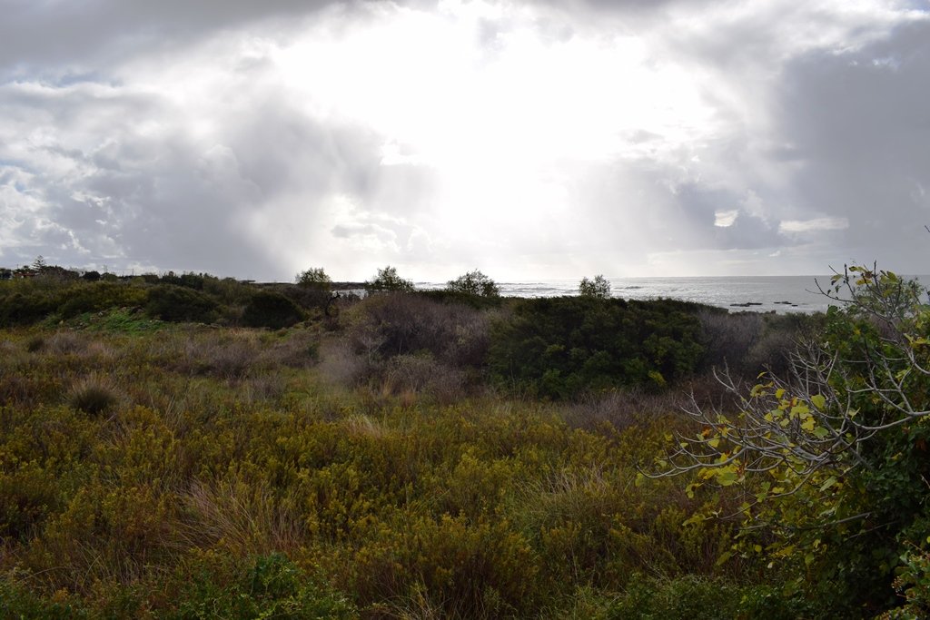 4089m² Hotel in Chania, Greece No. 5347