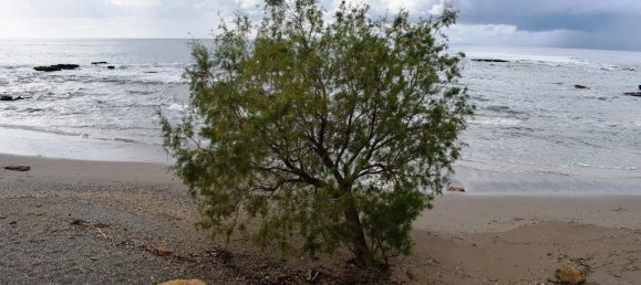 4089m² Hotel in Chania, Greece No. 5347 11