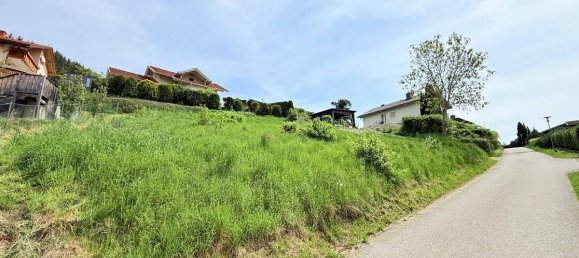  Land in Liebenfels, Austria No. 164973 6