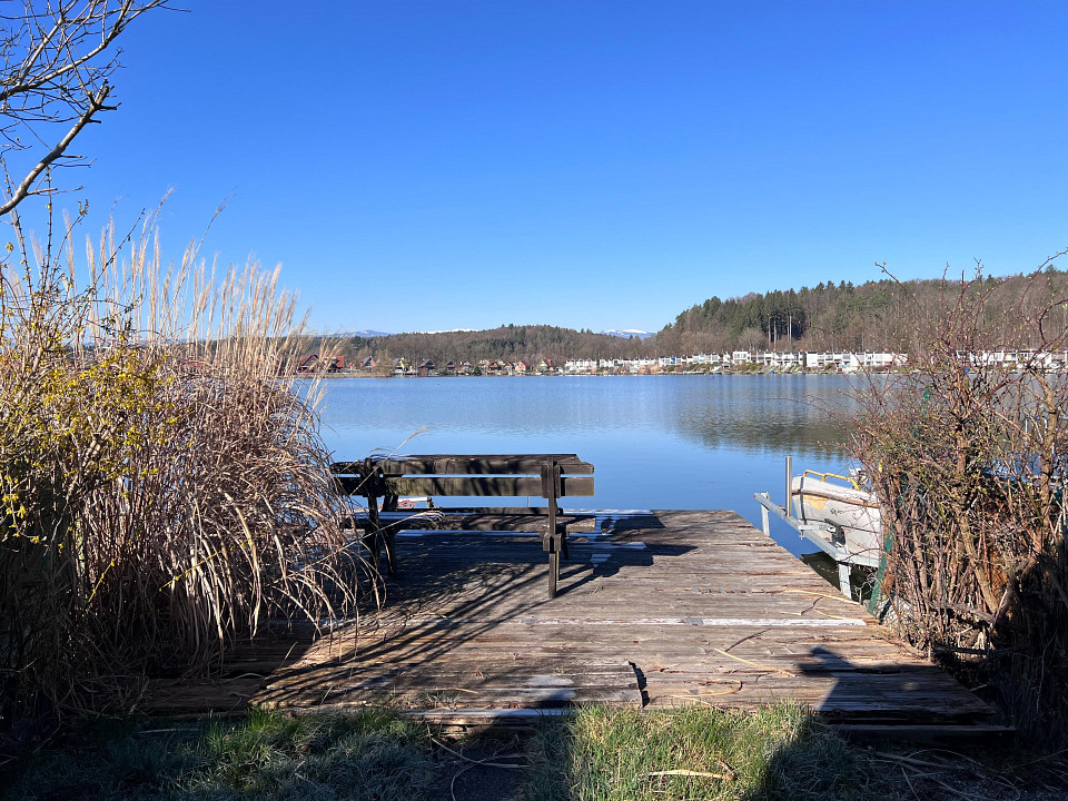 2 rooms House in Wettmannstatten, Austria No. 126512