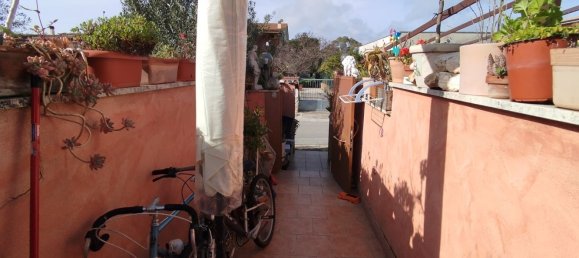 2-Zimmer Penthouse in Ardea, Italy, Nr. 223921 9