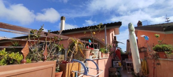 2-Zimmer Penthouse in Ardea, Italy, Nr. 223921 5