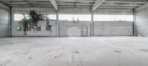 Almacén en Sant'Angelo Lodigiano, Italy 450 m² No. 225939 6