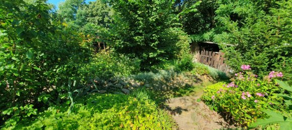 2 bedrooms House in Saxony-Anhalt, Germany No. 198299 47