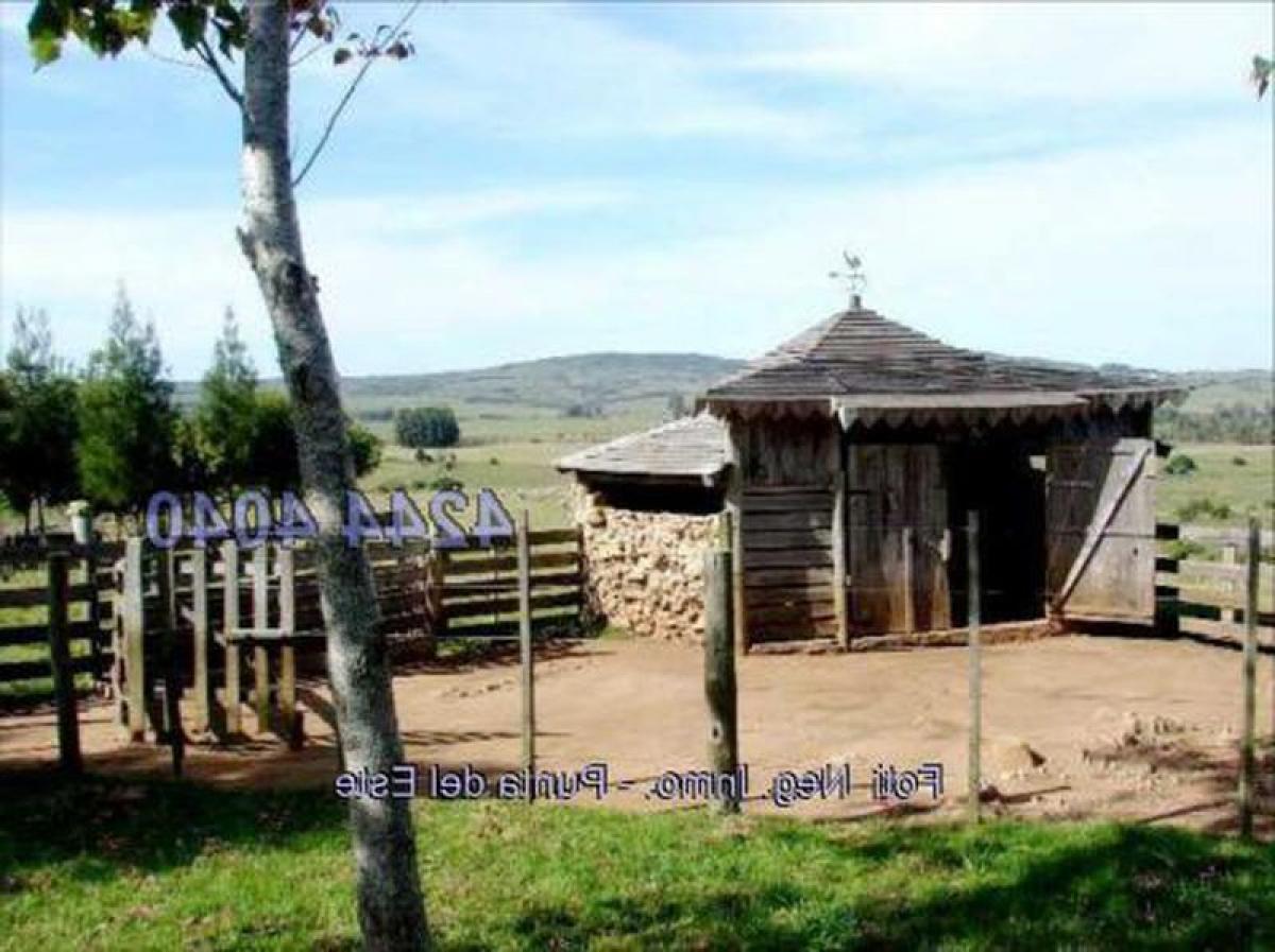 2 Schlafzimmer Haus in Maldonado, Uruguay, Nr. 5793