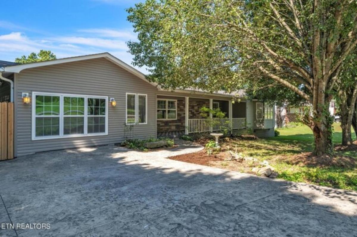 4 bedrooms House in Powell, USA No. 408535