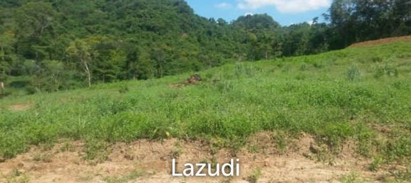 Commercial property in Sattahip, Thailand No. 16216 5