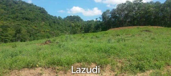 Commercial property in Sattahip, Thailand No. 16216 4