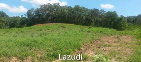 Commercial property in Sattahip, Thailand No. 16216 3