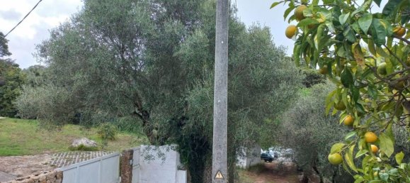 Casa T4 em Sintra, Portugal N.º 118268 41