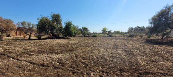 2 Schlafzimmer Villa in Syracuse, Italy, Nr. 242389 30