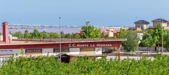 3 bedrooms Villa in Benijofar, Spain No. 12466 29